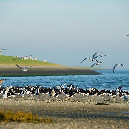 Breeze Ameland Hotel Hollum  Exterior photo