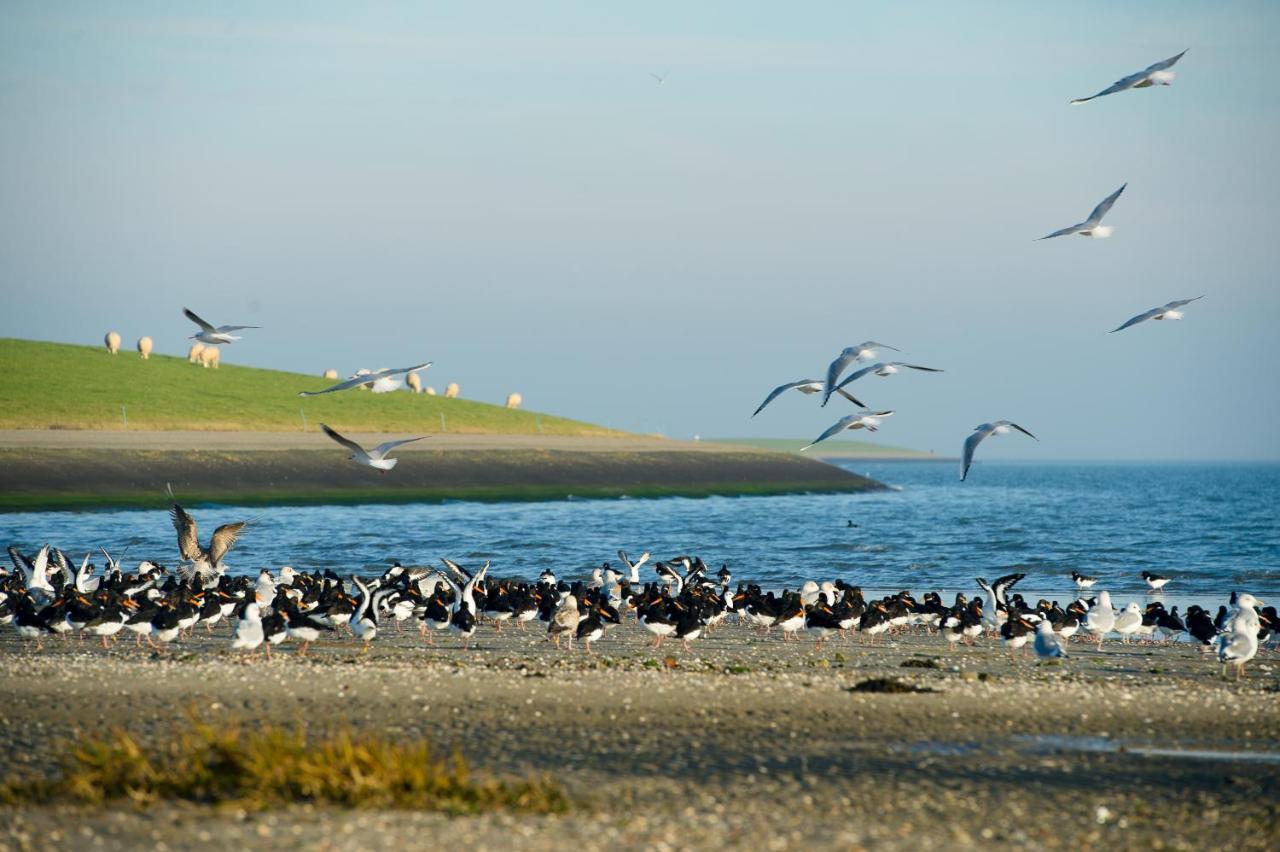 Breeze Ameland Hotel Hollum  Exterior photo